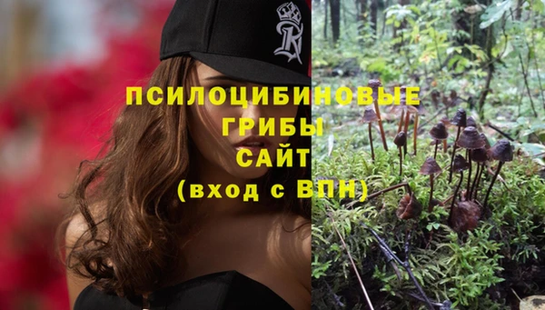 гашишное масло Белокуриха