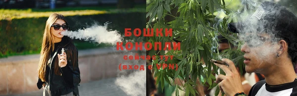 амф Белоозёрский