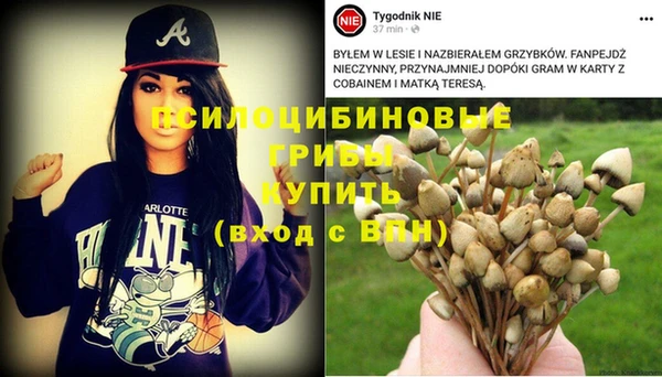 соль курить ск Богданович