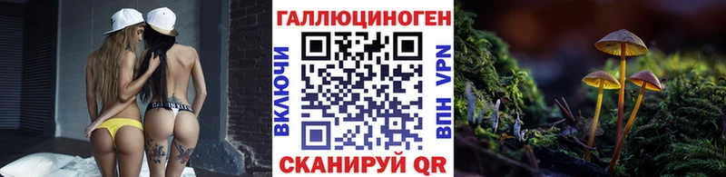 Галлюциногенные грибы мицелий  Боготол 