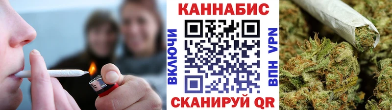 Бошки Шишки планчик  Боготол 